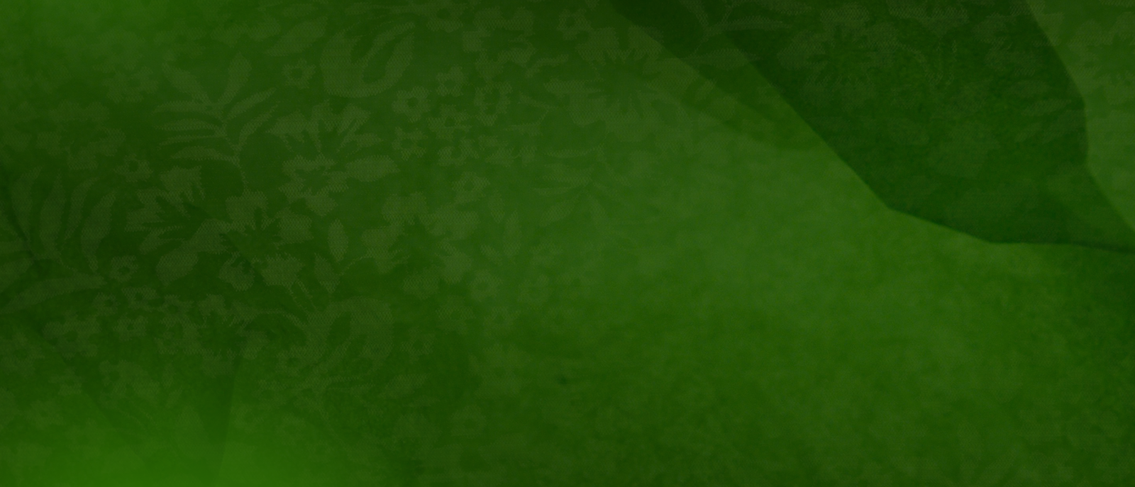 bg1a