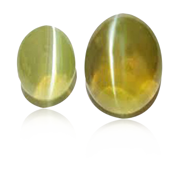 cat’s-eye