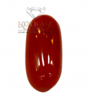 Red Coral ( লাল প্রবাল / लाल मूंगा ) 03