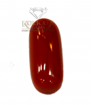 Red Coral ( লাল প্রবাল / लाल मूंगा ) 04