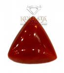Red Coral ( লাল প্রবাল / लाल मूंगा ) 06