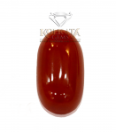 Red Coral ( লাল প্রবাল / लाल मूंगा ) 07