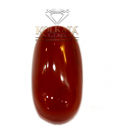 Red Coral ( লাল প্রবাল / लाल मूंगा ) 08