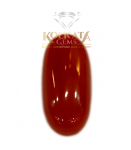 Red Coral ( লাল প্রবাল / लाल मूंगा ) 09